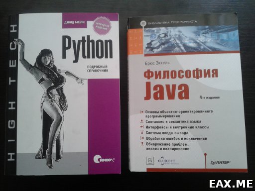 Книги "Философия Java" и "Python - подробный справочник"