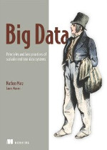 Big Data: Principles and best practices of scalable realtime data systems